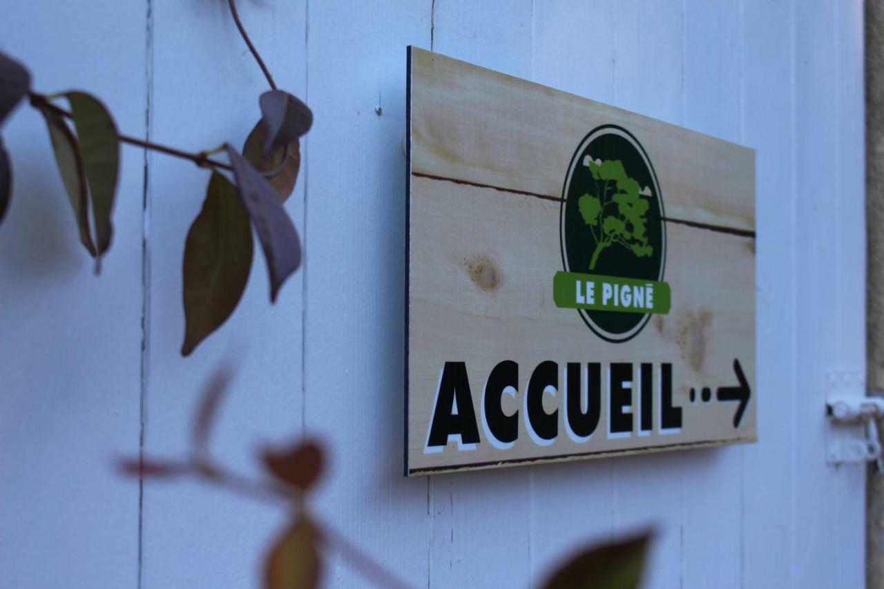 Gite Le PigneCurbans エクステリア 写真